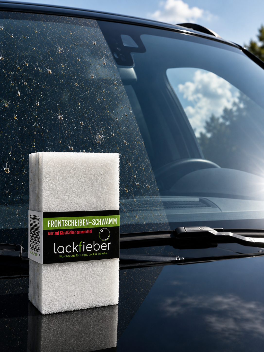 Lackfieber Frontscheiben-Schwamm